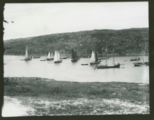 Image of Fishing Fleet, Assizes Harbour